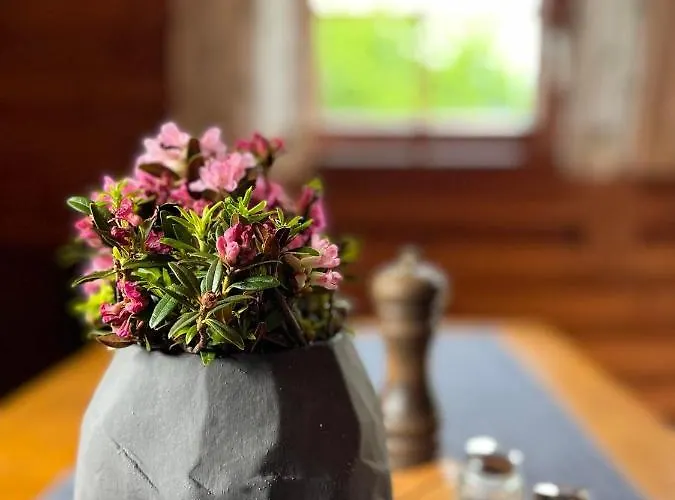 Harrys Blockhütte Dağ evi Karres