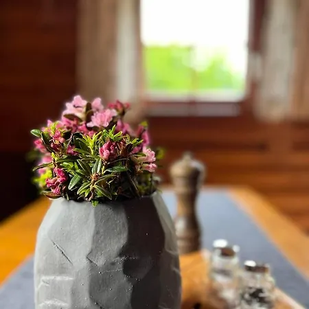 Harrys Blockhuette Chalet Karres